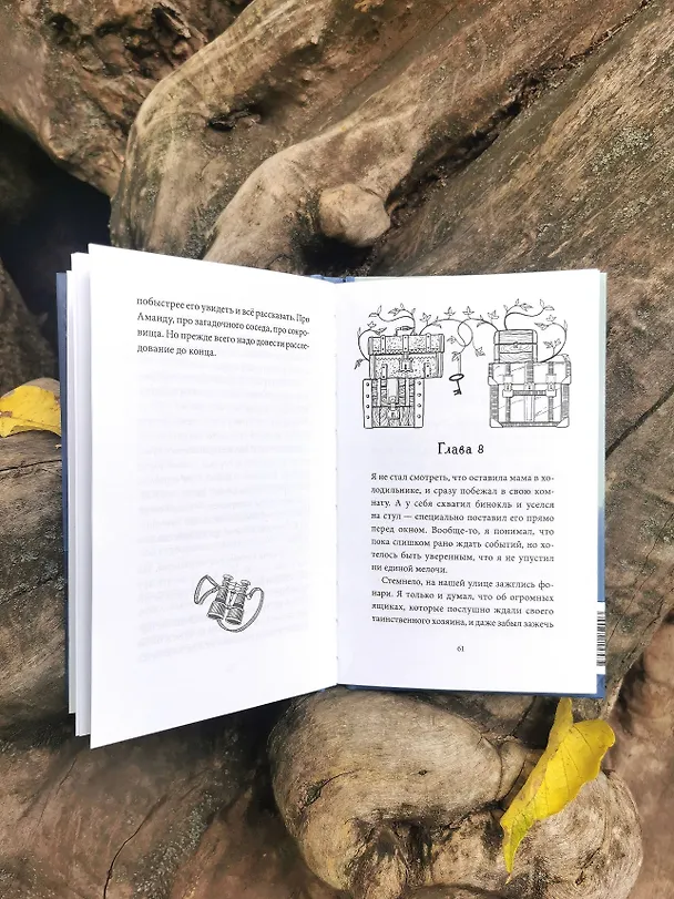 Книга Тайна заброшенного дома (Флориан Дениссон) — 13