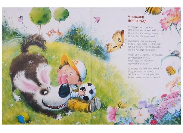 Книга Жизнь собачья (Ксения Валаханович) — 2