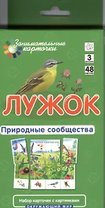 Лужок. Природные сообщества