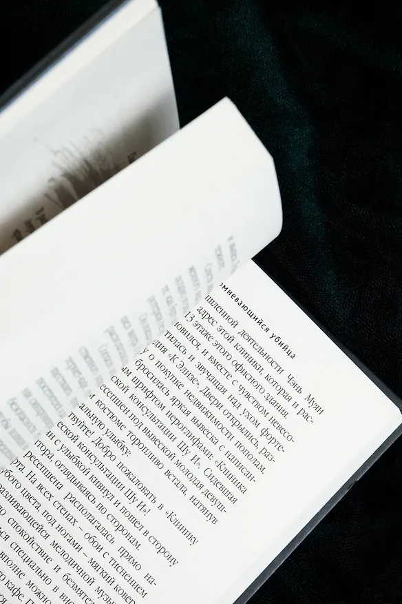 Книга Сомневающийся убийца (Цзюньлинь Чэнь) — 16
