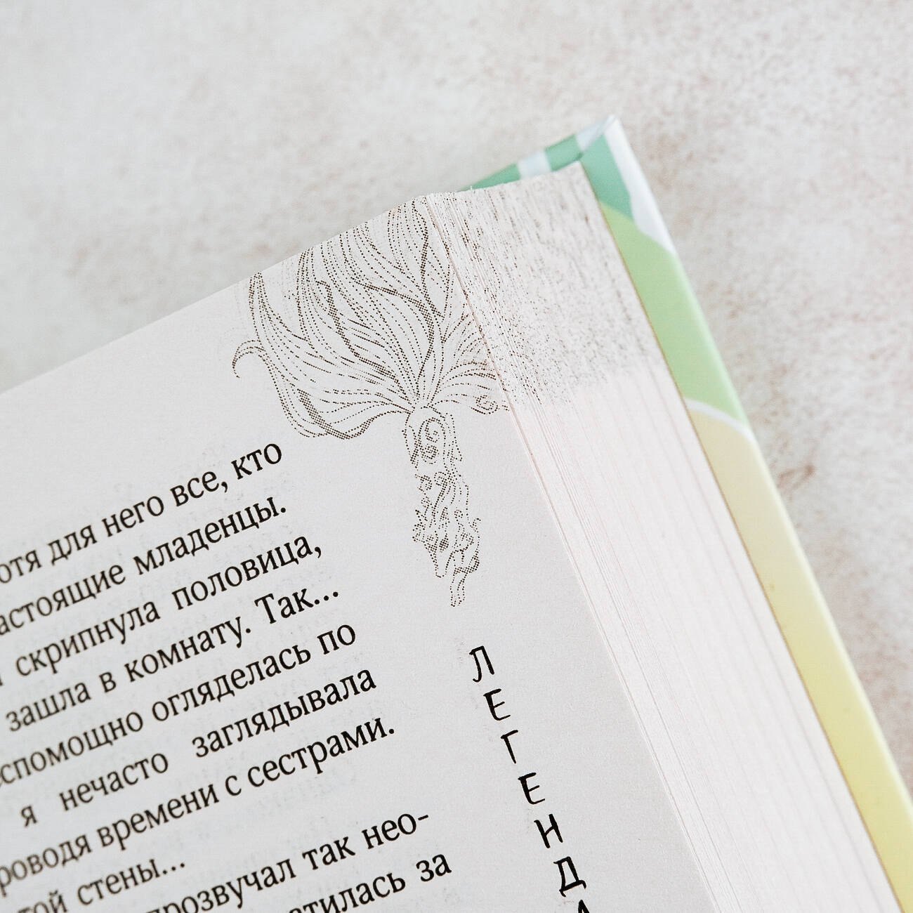 Изображение бумажной книги