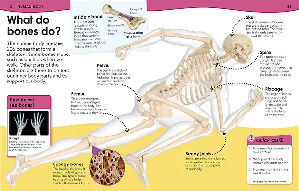 Книга Do You Know About Science? () — 3