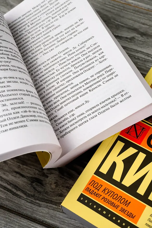 Книга Под Куполом. Падают розовые звезды (Стивен Кинг) — 10