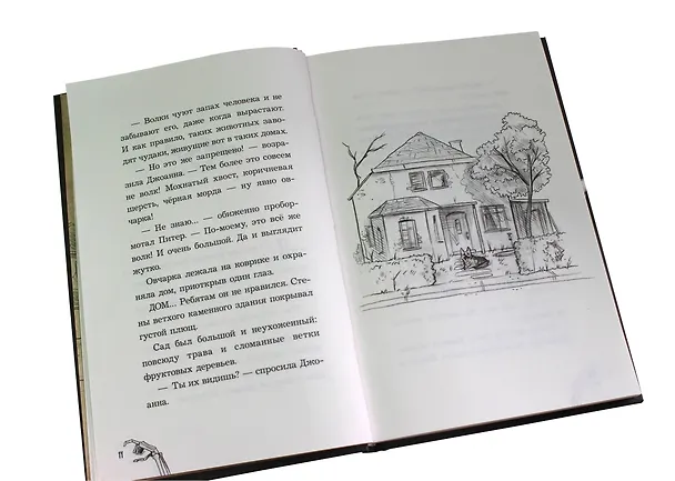 Книга Мои жуткие соседи (Ханнес Хёрндлер) — 7
