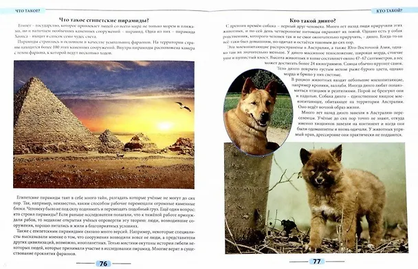 Книга Лучшая детская энциклопедия. Что такое? Кто такой? () — 2