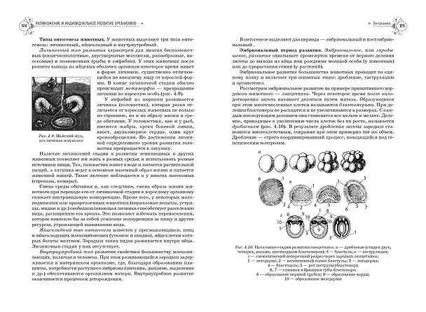 Книга Биология. Справочник для подготовки к ЕГЭ, олимпиадам и поступлению в вуз (Николай Лисов, Лилия Камлюк) — 10