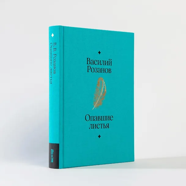 Книга Опавшие листья (Василий Розанов) — 16