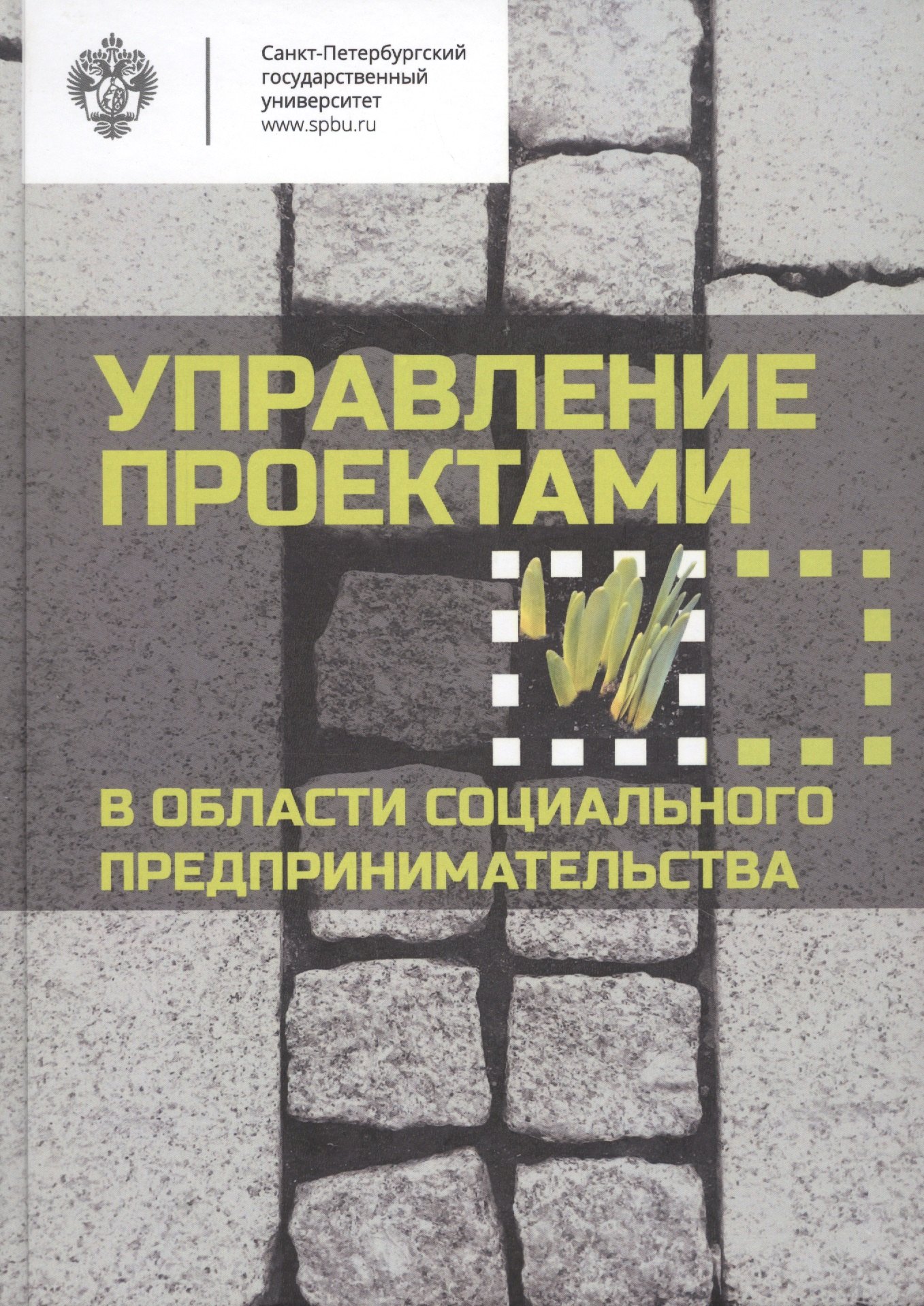 

Управление проектами в области социального предпринимательства: учебное пособие