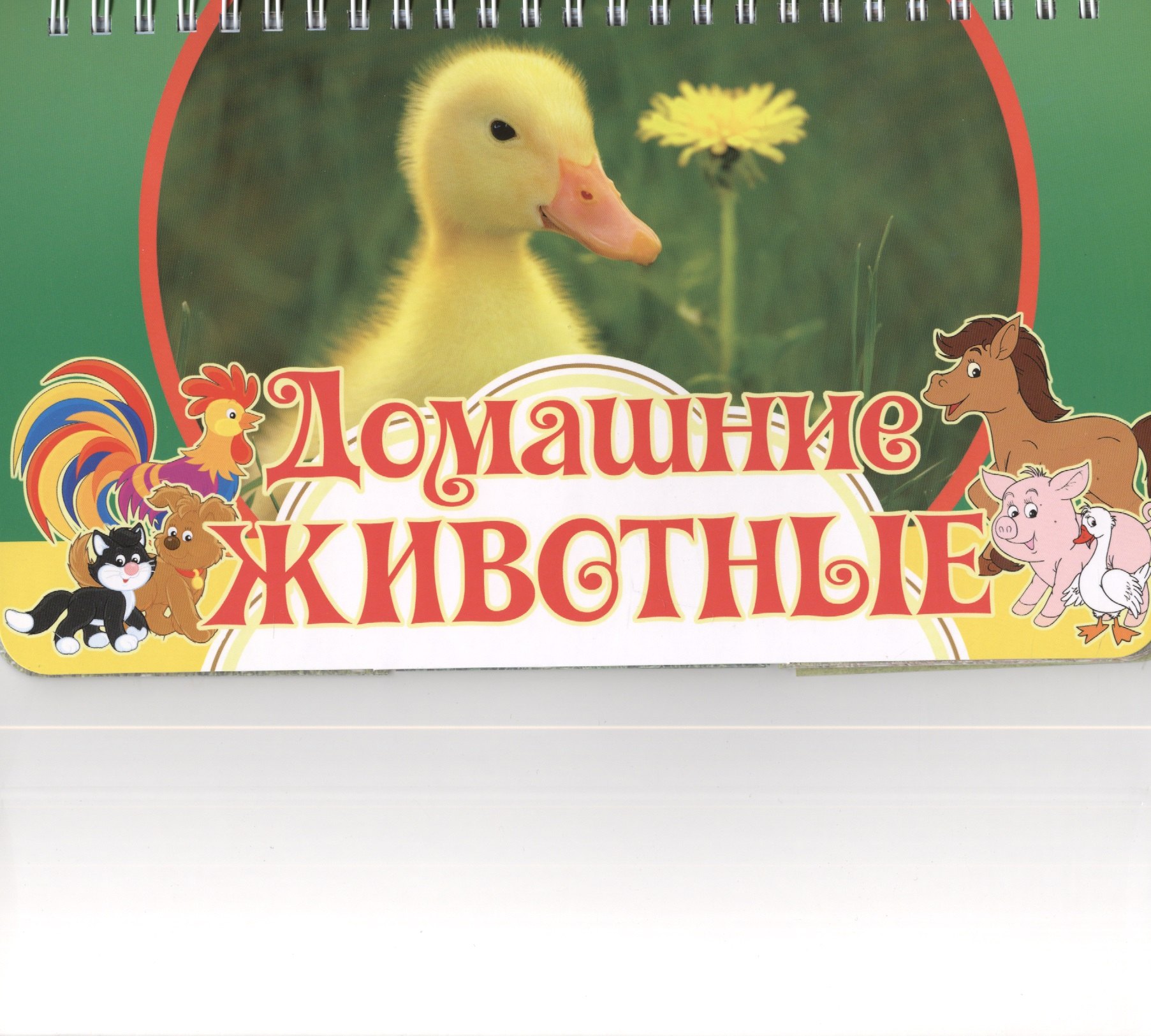 

Домашние животные