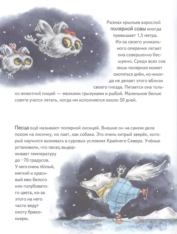Книга Чудо в Новый год: как Белый Мишка нашёл друзей (Женя Григорьева) — 10