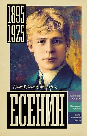 Книга Есенин (Василий Берг)