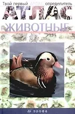 Твой первый атлас-определитель. Животные