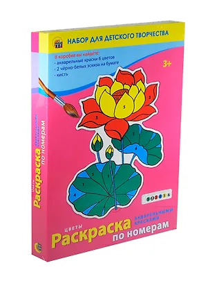 Картина-раскраска по номерам «Цветы», 6 цветов 2416304