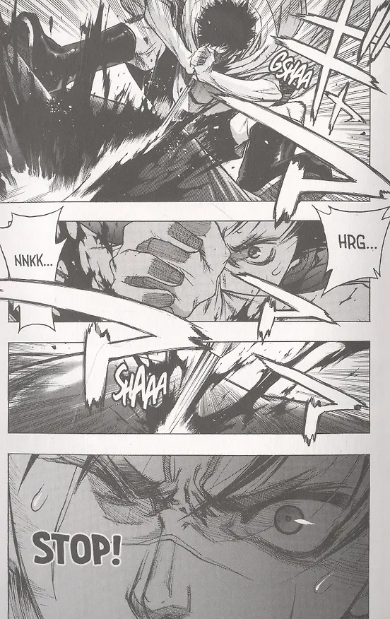 Книга Attack on Titan: Before the Fall 3 (Hajime Isayama) — 3