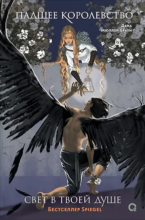 Книга Падшее королевство. 2. Свет в твоей душе (Дана Мюллер-Браун)