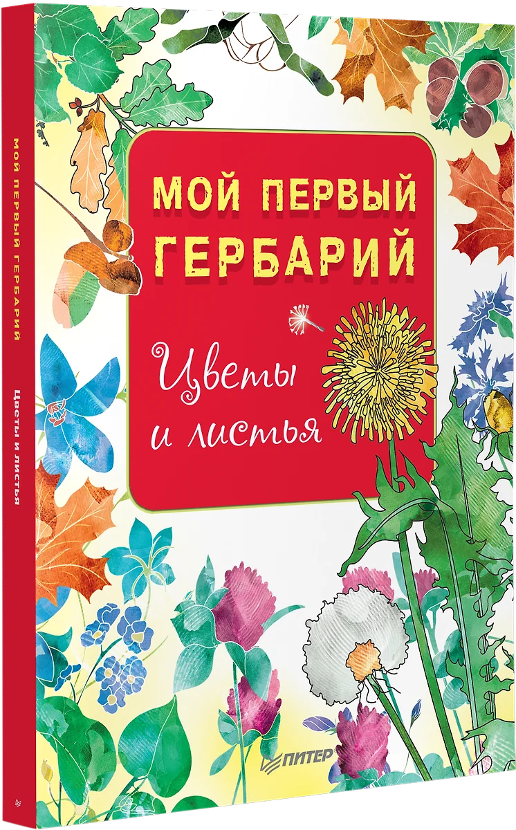 Мой первый гербарий. Цветы и листья - купить книгу с доставкой в  интернет-магазине «Читай-город». ISBN: 978-5-00116-176-9