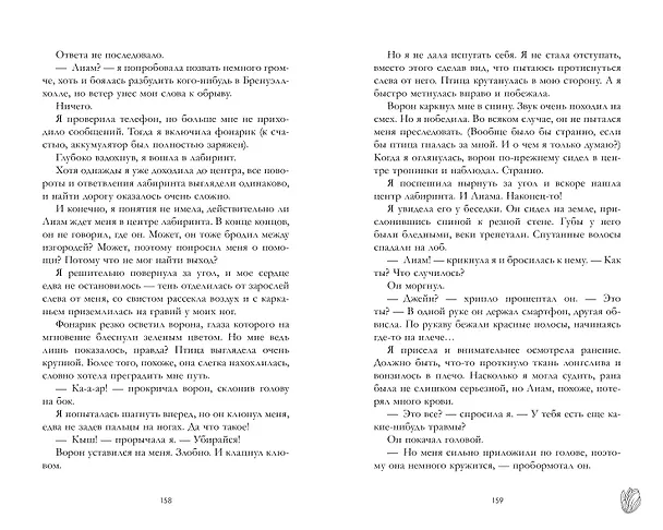 Книга Тени замка на холме (Мехтильда Глейзер) — 11