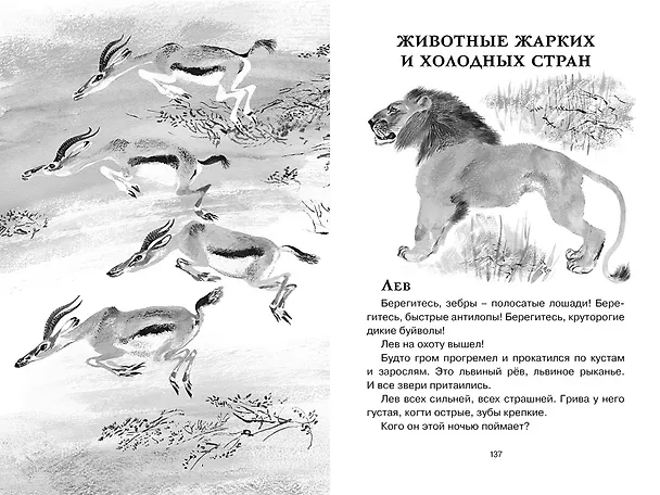 Книга Друзья (Евгений Чарушин) — 15