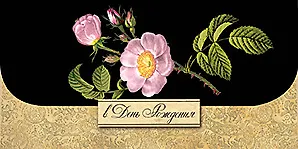 Конверт для денег В день Рождения код 9 7495