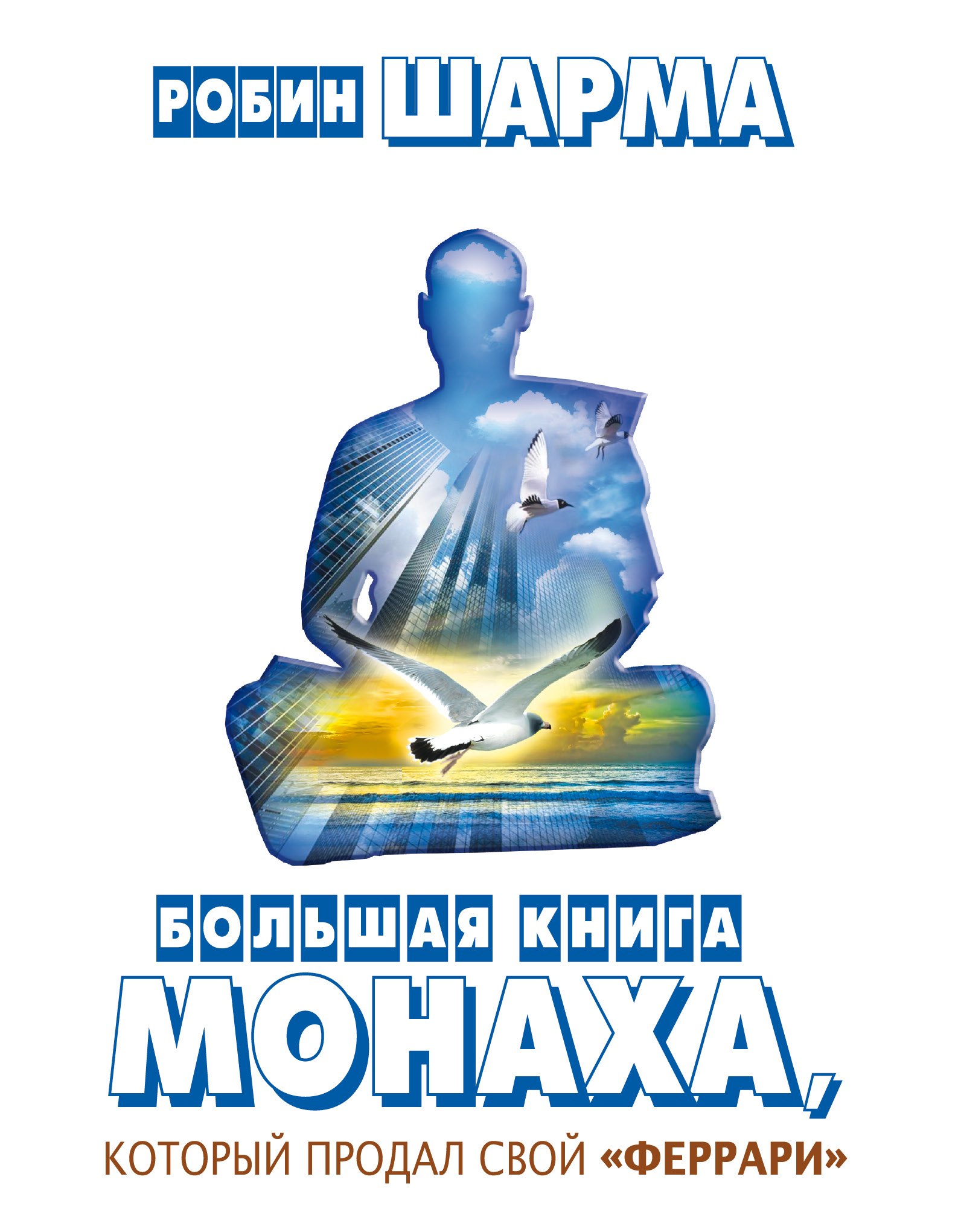 

Большая книга монаха, который продал свой "феррари"