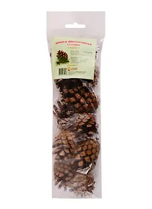 Набор сосновых шишек, без окраса (10 шт) (Ш-004) (упаковка)