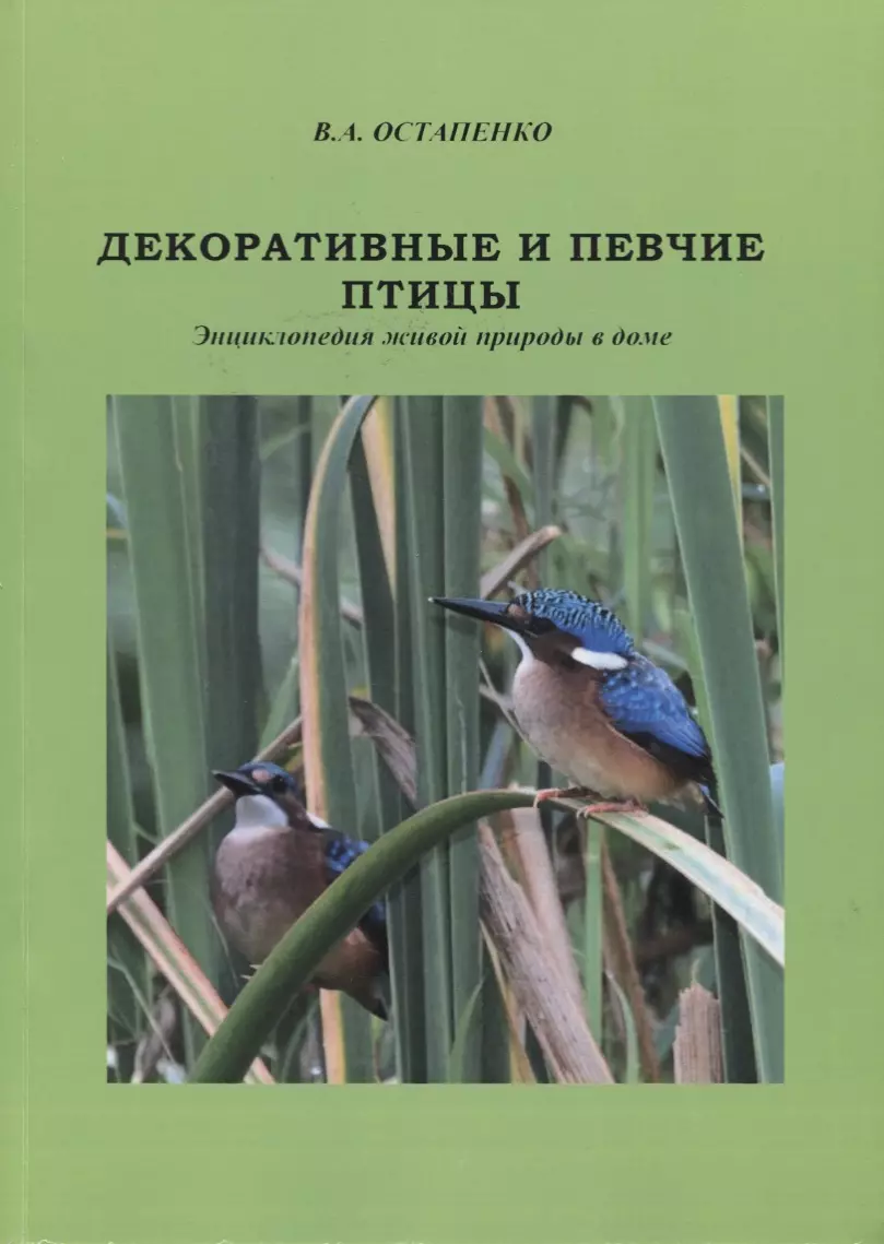 Декоративные и певчие птицы. Энциклопедия живой природы в доме (Владимир  Остапенко) - купить книгу с доставкой в интернет-магазине «Читай-город».  ISBN: 978-5-90-510695-8