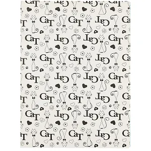 Тетрадь Asac, Cat, B5, 48 листов