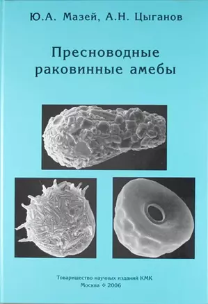 Пресноводные раковинные амебы — 5306729 — 1