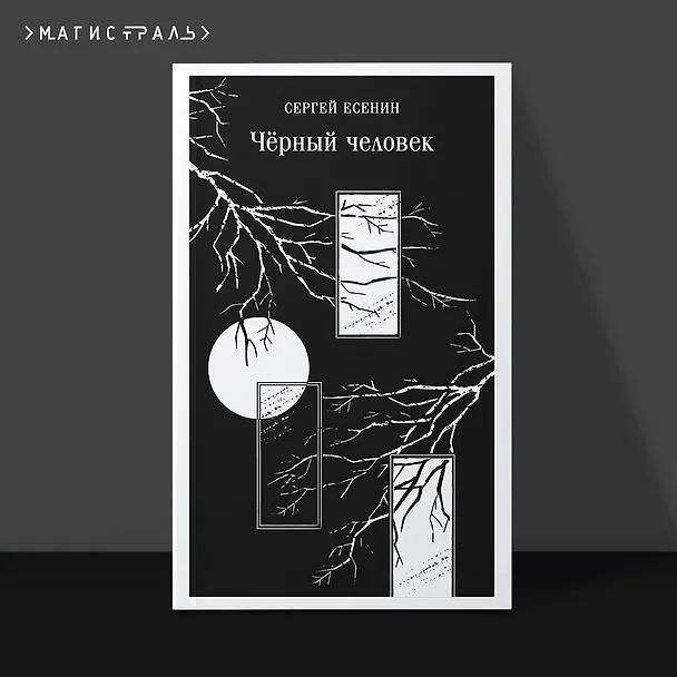 Книга Чёрный человек (Сергей Есенин) — 7