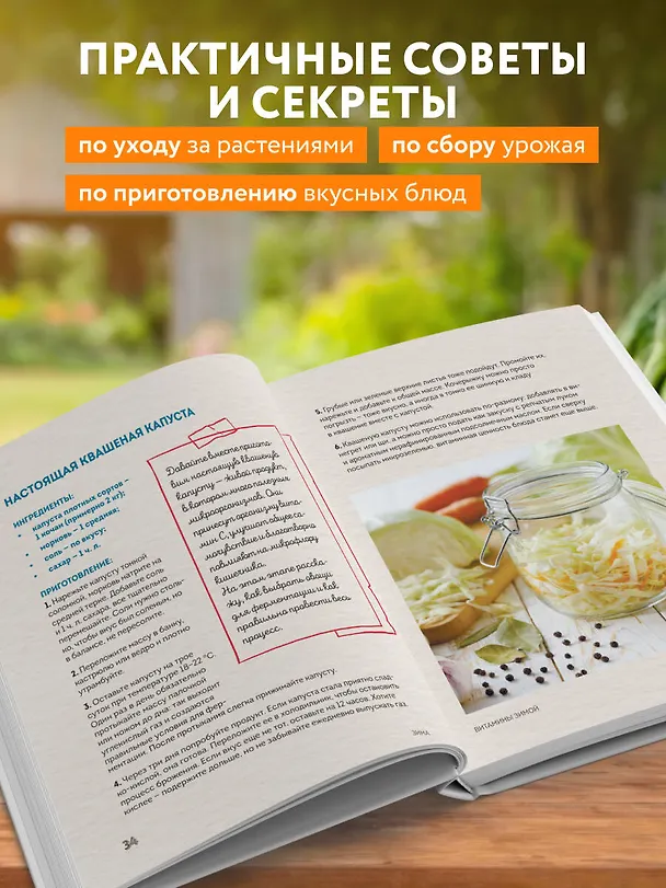 Книга С грядки на стол. Как вырастить сезонные продукты и превратить их в кулинарные шедевры (Владимир Поляков) — 7