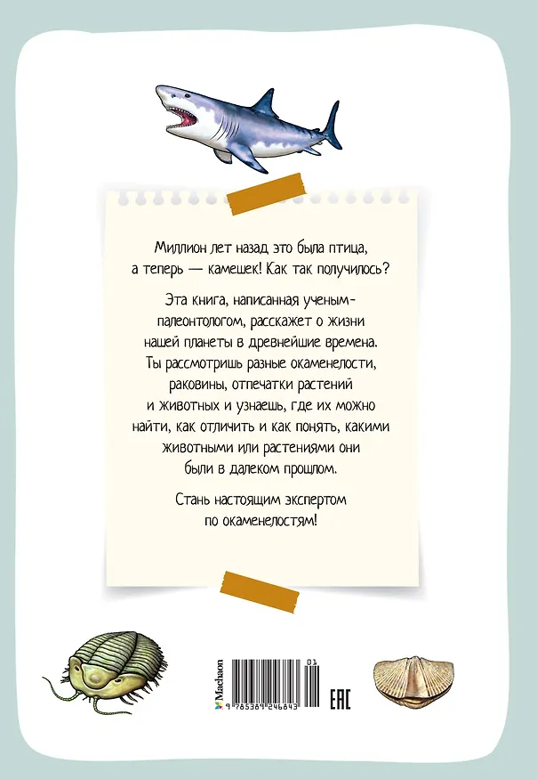 Книга Древний мир. Окаменелости. Животные и растения. Наши предки (Антуан Балзо) — 2