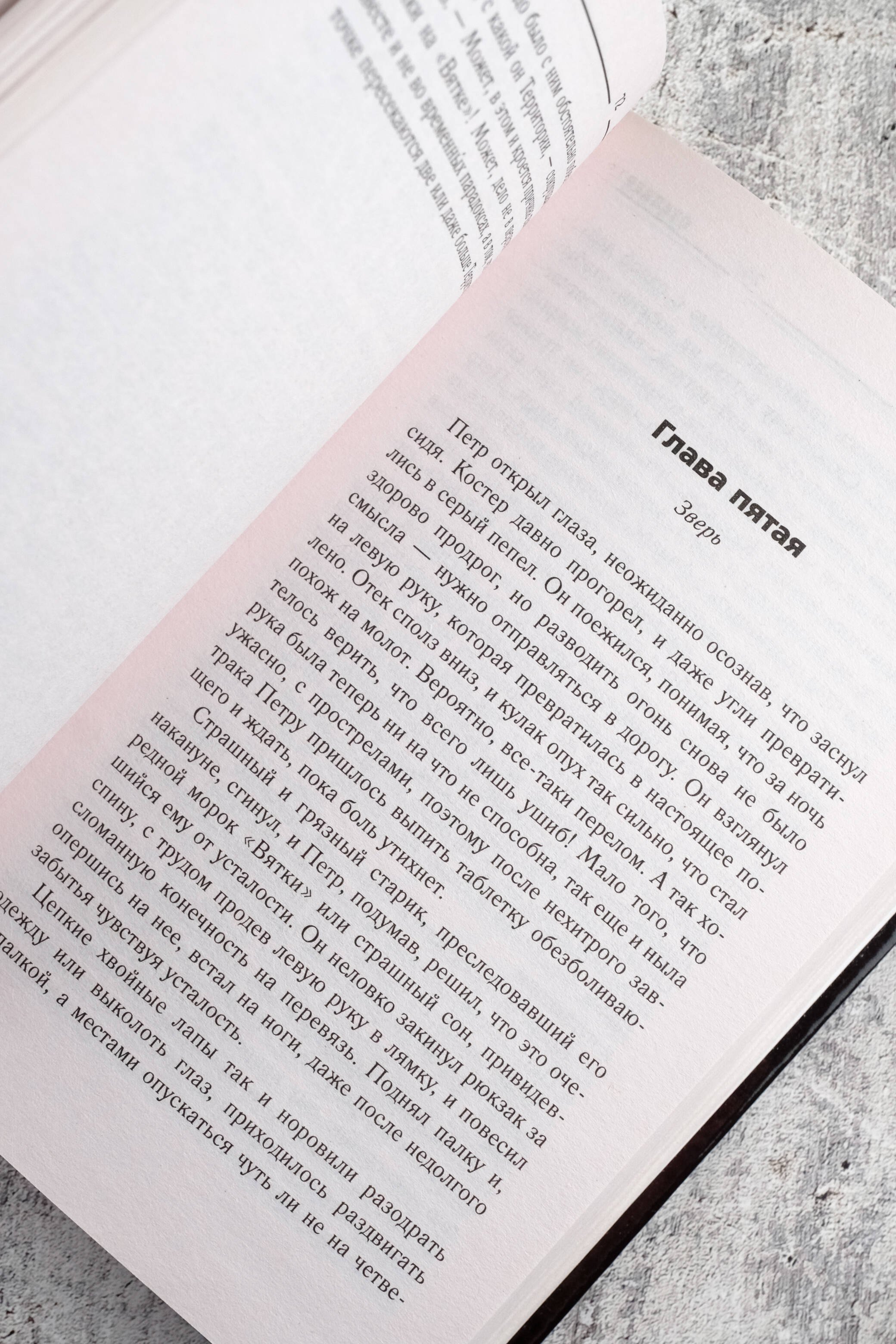 Изображение бумажной книги