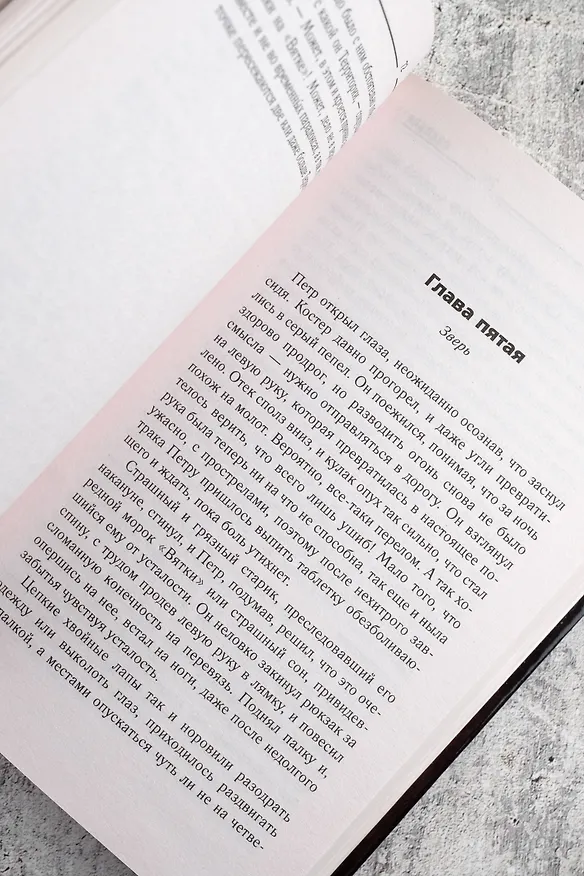 Книга Новая Зона. Калейдоскоп (Юрий Смирнов) — 8