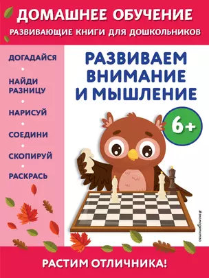 Развиваем внимание и мышление: для детей от 6 лет — 2921914 — 1