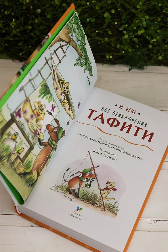 Книга Все приключения Тафити (Юлия Бёме) — 12