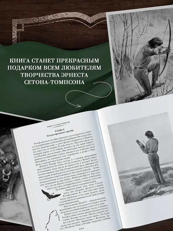 Книга Рольф в лесах. Лесные рассказы (Эрнест Сетон-Томпсон) — 10