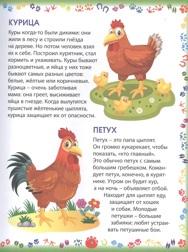 Книга Животные и птицы (Елена Кулакова) — 5