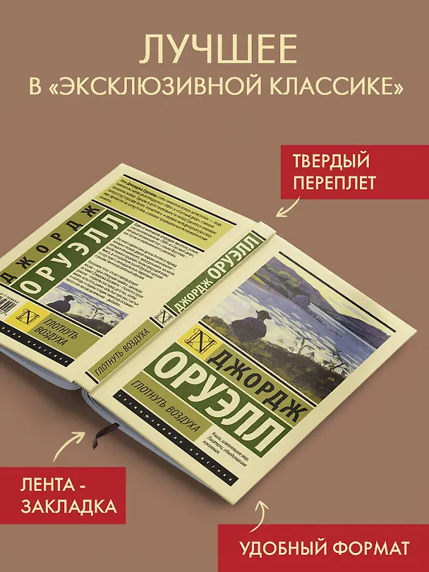 Книга Глотнуть воздуха (Джордж Оруэлл) — 4