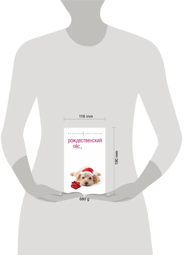 Книга Рождественский пес (Даниэль Глаттауэр) — 4