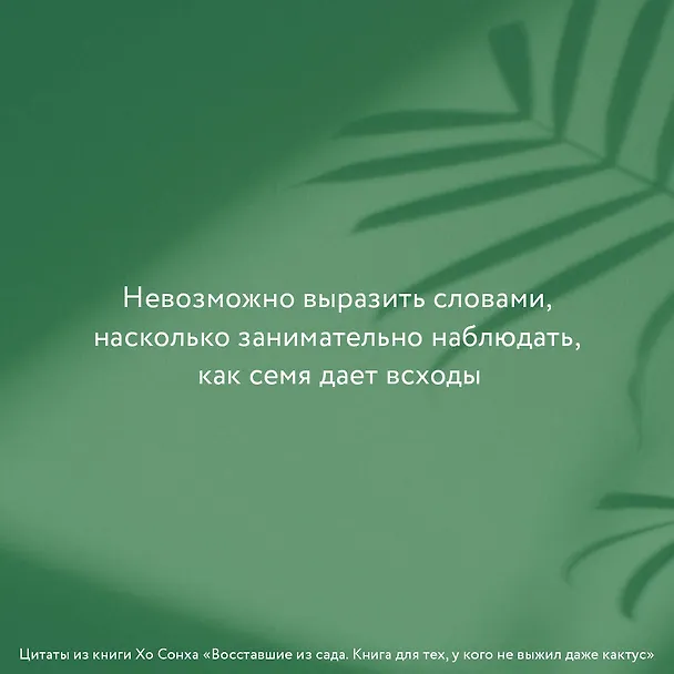 Книга Восставшие из сада. Книга для тех, у кого не выжил даже кактус (Сонха Хо) — 8