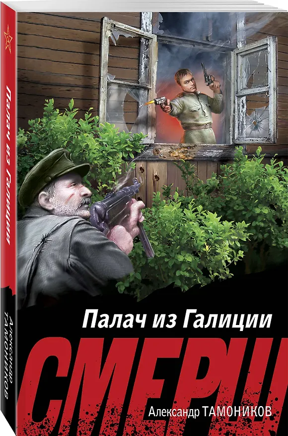 Книга Палач из Галиции (Александр Тамоников) — 4