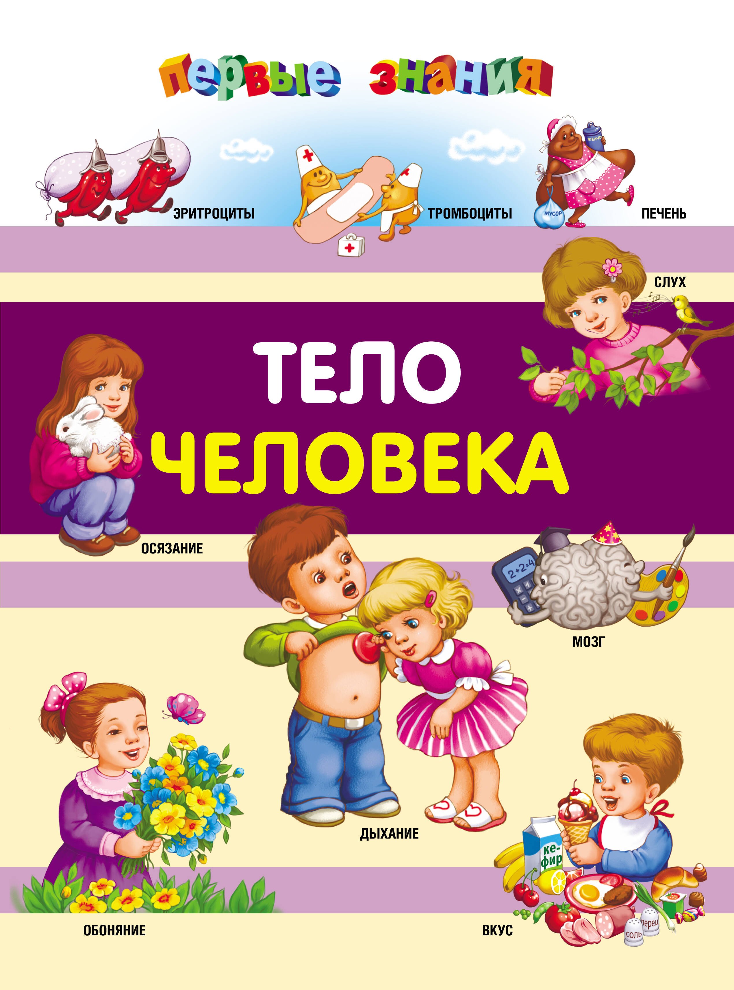 

Тело человека