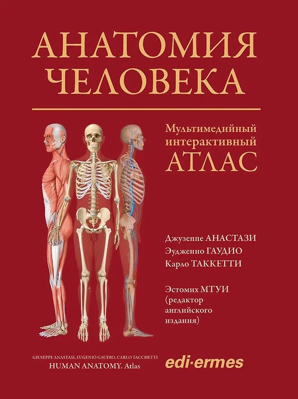 Книга Анатомия человека: атлас (Джузеппе Анастази, Эудженио Гаудио, Карло Таккетти) — 1