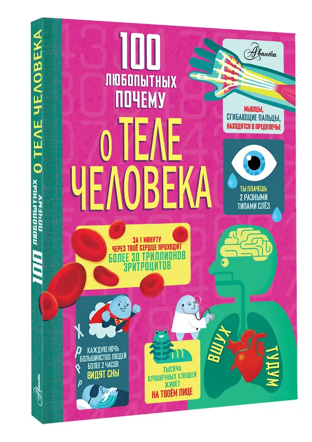 Книга 100 любопытных почему о теле человека (Минна Лейси, Алекс Фрайт, Джонатан Мелмот, Мэтью Олдэм) — 4