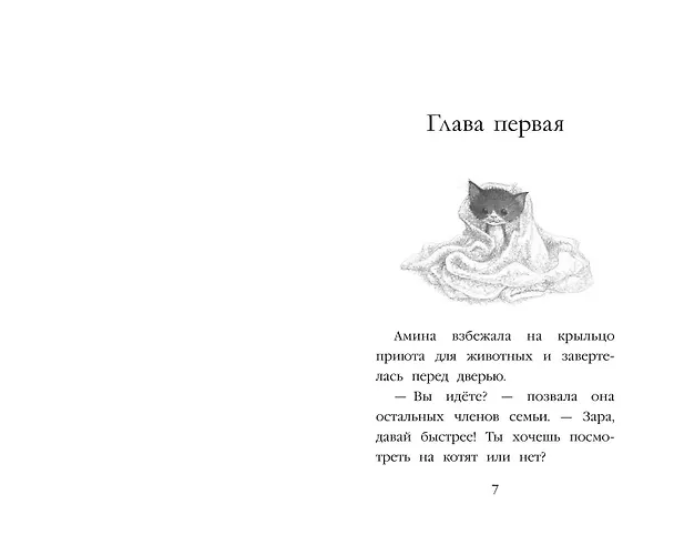 Книга Котенок Пикси, или Самый маленький друг (выпуск 58) (Холли Вебб) — 12