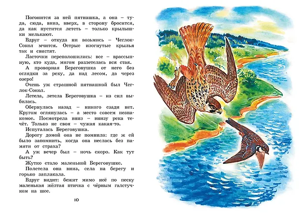 Книга Где раки зимуют. Сказки и рассказы (Виталий Бианки) — 9
