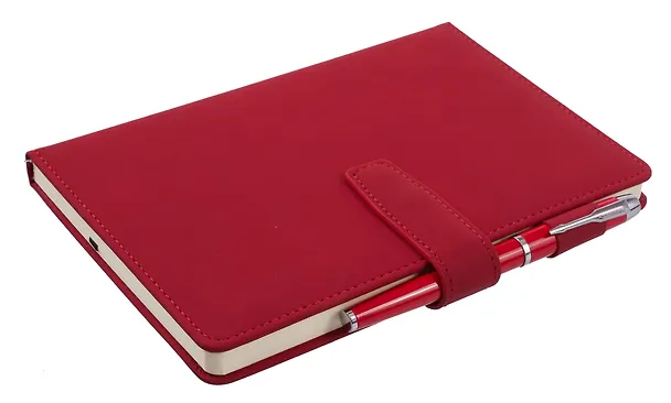 Набор канцелярский «Red» (книга для записей, ручка шариковая) 3117550 — 4