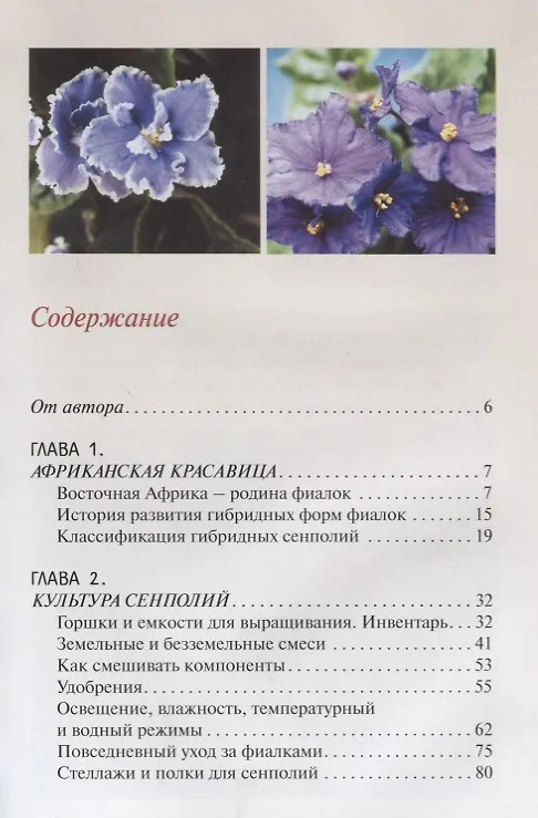 Книга Узамбарские фиалки (тв.) (Надежда Ширяева) — 2