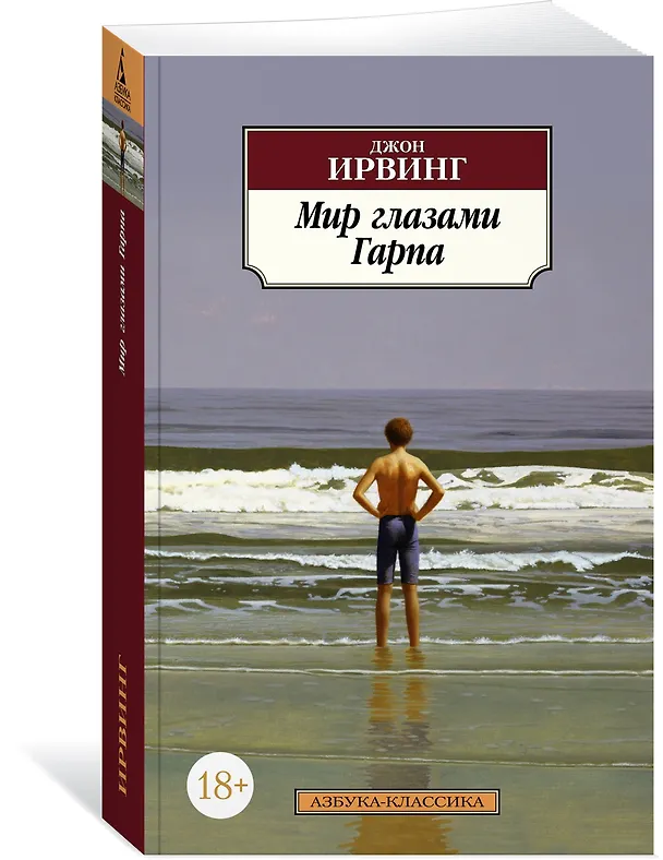 Книга Мир глазами Гарпа (Джон Ирвинг) — 2