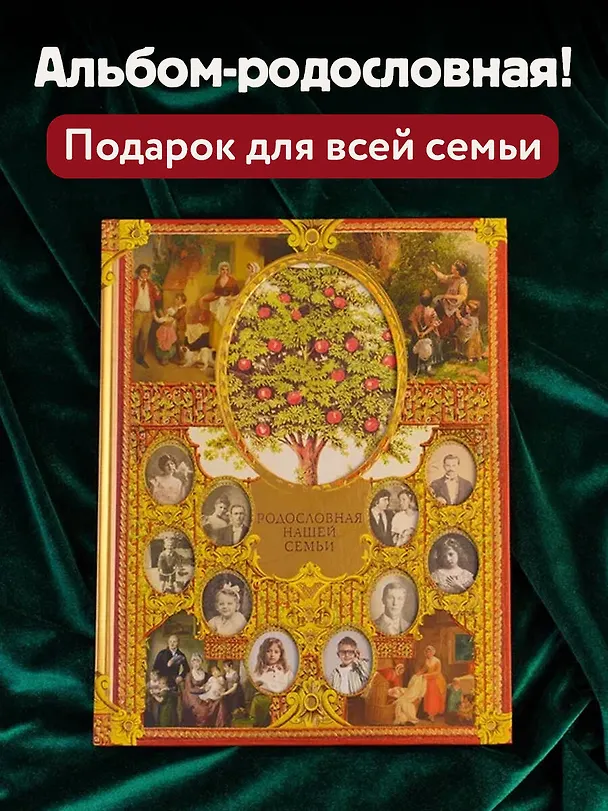 Книга Родословная нашей семьи (Валентина Дмитриева) — 5